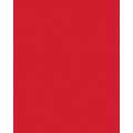 folia® |  Coloured Photo Card packs — 300 gsm, 50 cm x 70cm, bright red