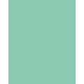 folia® |  Coloured Photo Card packs — 300 gsm, 50 cm x 70cm, mint