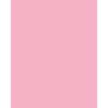 folia® |  Coloured Photo Card packs — 300 gsm, 50 cm x 70cm, rose