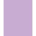 folia® |  Coloured Photo Card packs — 300 gsm, 50 cm x 70cm, purple