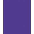 folia® |  Coloured Photo Card packs — 300 gsm, 50 cm x 70cm, dark violet