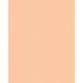 folia® |  Coloured Photo Card packs — 300 gsm, 50 cm x 70cm, apricot