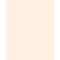 folia® |  Coloured Photo Card packs — 300 gsm, 50 cm x 70cm, light beige