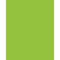 folia® |  Coloured Photo Card packs — 300 gsm, 50 cm x 70cm, May green