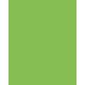 folia® |  Coloured Photo Card packs — 300 gsm, 50 cm x 70cm, light green