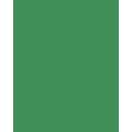 folia® |  Coloured Photo Card packs — 300 gsm, 50 cm x 70cm, moss green