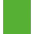 folia® |  Coloured Photo Card packs — 300 gsm, 50 cm x 70cm, grass green