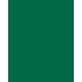 folia® |  Coloured Photo Card packs — 300 gsm, 50 cm x 70cm, fir green