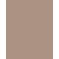 folia® |  Coloured Photo Card packs — 300 gsm, 50 cm x 70cm, cappuchino
