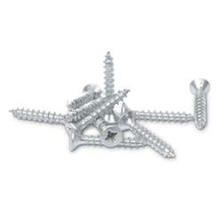 ASRE | Phillips Screw Pack — 10 screws