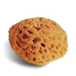 Natural Sponge — 14 cm