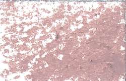 JAXON® | Oil Pastels — individual, Grey pink