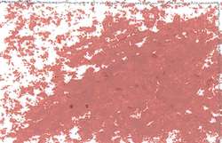 JAXON® | Oil Pastels — individual, Pale brown