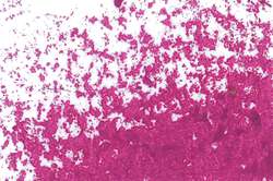 JAXON® | Oil Pastels — individual, Rose red