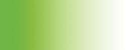 Transparent tropical green