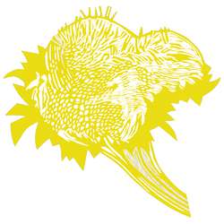 Lemon yellow
