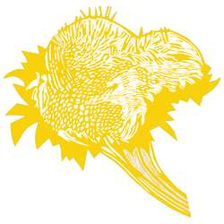Medium yellow