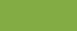 Bronze green