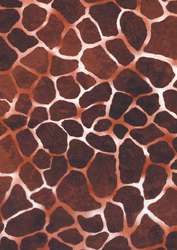 décopatch® | Paper — packs of 3 sheets, 30 x 40cm / pack of 3 sheets, Giraffe