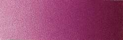 Purple violet