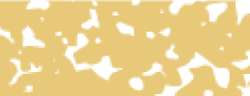 ROYAL TALENS | REMBRANDT Soft Pastels — individual, deep yellow (202.7)