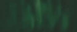 KREUL | WINDOW COLOR Paints — 80 ml bottles, 80 ml, Moss Green