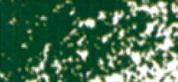 Conté à Paris™ | Pastel Chalks — individual, Dark grey green