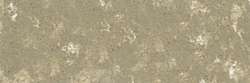 SENNELIER | À L'ÉCU soft pastel — individual, Small: 65 x 11mm, Olive grey 453