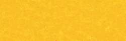 SENNELIER | À L'ÉCU soft pastel — individual, Small: 65 x 11mm, Cadmium yellow light 297
