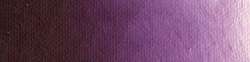 Scheveningen violet