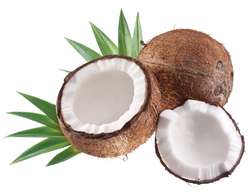 Coconut milk