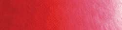 Scheveningen red medium