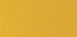 Cadmium yellow medium (hue)