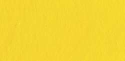 Cadmium yellow light (hue)