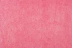 Lokta Paper, Camellia