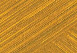Yellow ochre
