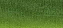 Sap green