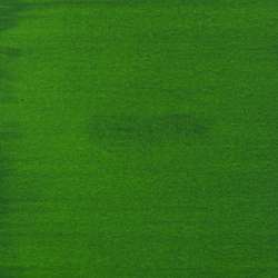 ROYAL TALENS | AMSTERDAM Acrylic Ink — 30 ml pipette bottles, 30 ml, Permanent green light