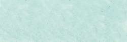 SENNELIER | À L'ÉCU soft pastel — individual, Small: 65 x 11mm, Lawn green 154