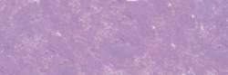 SENNELIER | À L'ÉCU soft pastel — individual, Small: 65 x 11mm, Purple blue 284