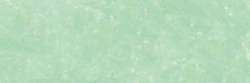 SENNELIER | À L'ÉCU soft pastel — individual, Small: 65 x 11mm, Ash green 351