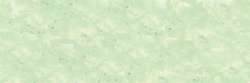 SENNELIER | À L'ÉCU soft pastel — individual, Small: 65 x 11mm, Baryte green 764