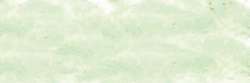 SENNELIER | À L'ÉCU soft pastel — individual, Small: 65 x 11mm, Baryte green 765