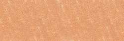 SENNELIER | À L'ÉCU soft pastel — individual, Small: 65 x 11mm, Iridescent raw Sienna 817