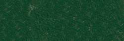 SENNELIER | À L'ÉCU soft pastel — individual, Small: 65 x 11mm, Fir green 911