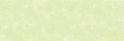 SENNELIER | À L'ÉCU soft pastel — individual, Small: 65 x 11mm, Fir green 918