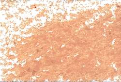 JAXON® | Oil Pastels — individual, Naples yellow reddish