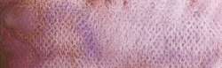 galaxy pink