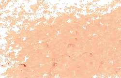 JAXON® | Oil Pastels — individual, Salmon pink