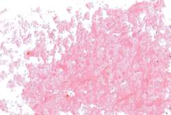 JAXON® | 1000 Oil Pastels — individual, 18 mm diameter, Madder pink